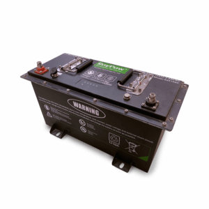 RoyPow Lithium Batteri